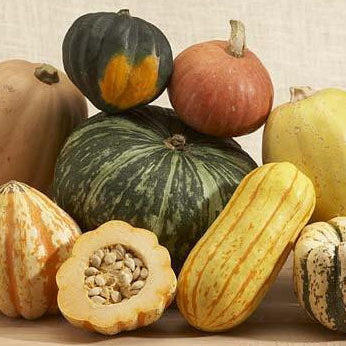 Fall Is Here!
