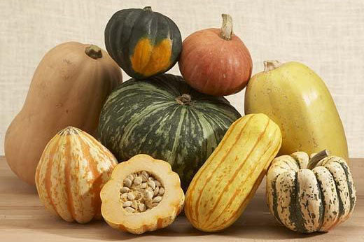 Fall Is Here! — Melissas Produce