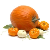 Image of Pumpkin and Baby Pumpkins