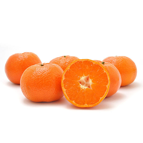 Image of Shasta Gold Tangerines