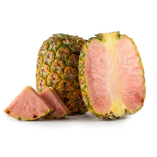 pinkglow pineapple plant Pinkglow Pineapple the Pink Pineapple 2 count