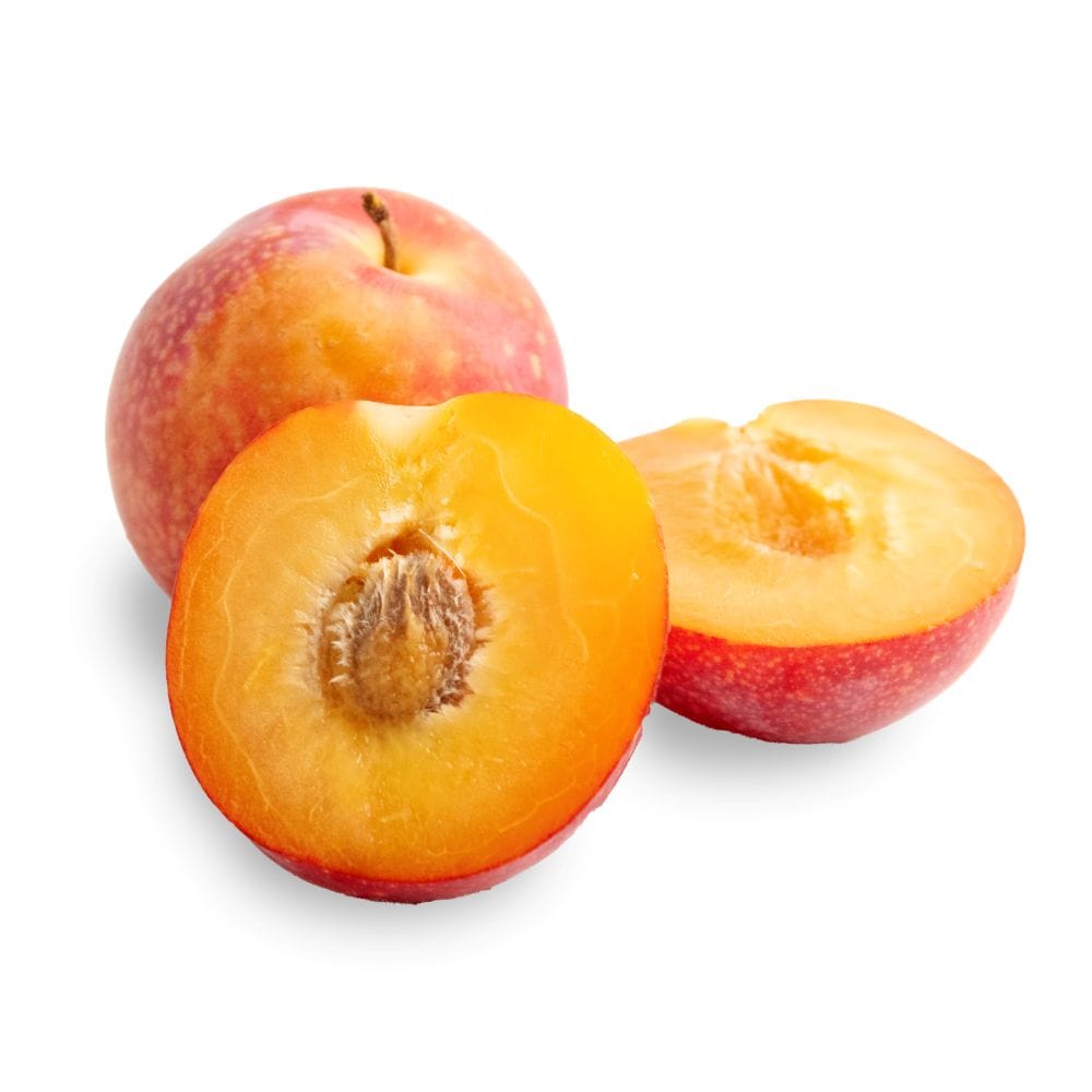 Stone Fruit