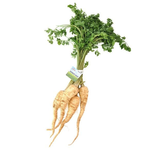 Image of  3 bunches (2.25 Pounds) Parsley Root Vegetables