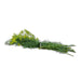 Image of  3 bunches Crown Dill Other
