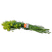 Image of  3 bunches Crown Dill Other