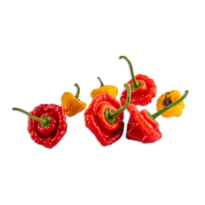 Image of  3 packages (2 Ounces each) Scotch Bonnet Peppers Vegetables