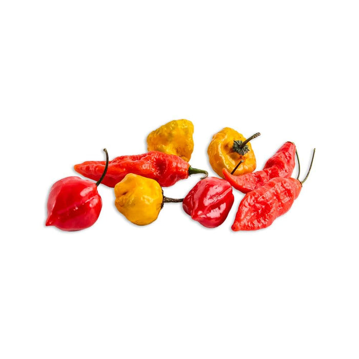 Image of  3 packages (2 Ounces each) Super Hot Peppers Vegetables