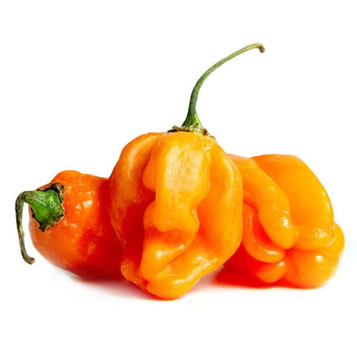 Image of  3 packages (4 Ounces each) Habanero Peppers Vegetables