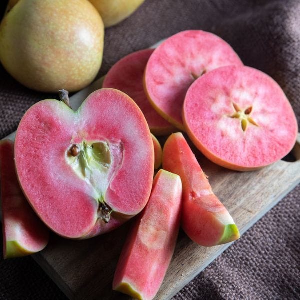Pink Apple Fruit Pom Pink™ (Columnar Apple) PlantNet® Australia