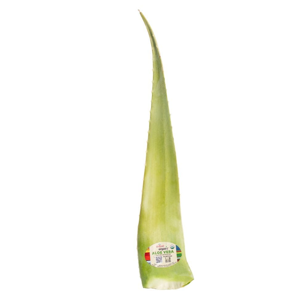 aloe vera plant leaves Organic Aloe Vera Leaves