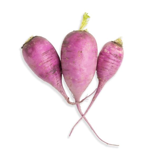 Purple Ninja Radish — Melissas Produce