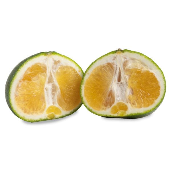 Ugli Fruit — Melissas Produce