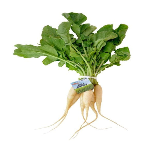 Image of  5 Pounds White Icicle Radish Vegetables