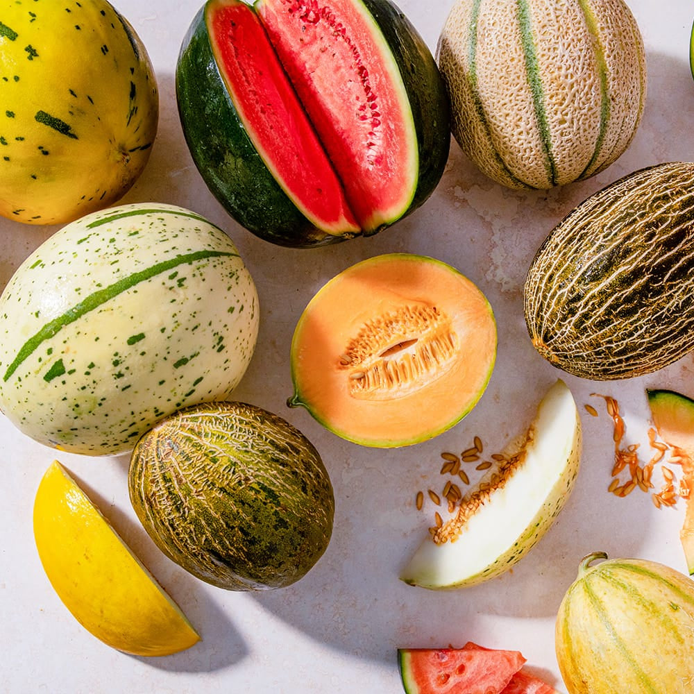 A variety of fresh whole and cut melons: watermelons, canary melons, canteloupe, honeydew, pepino melons.