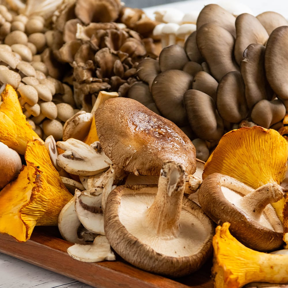 A close-up arrangement of assorted fresh mushrooms on a wooden board, including brown button mushrooms, beige oyster mushrooms, chanterelle mushrooms, and orange-yellow lobster mushrooms, set on a white wooden surface.