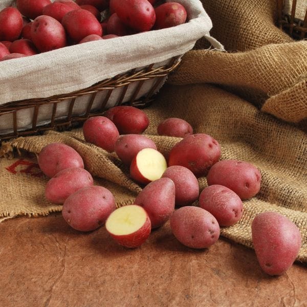 Rubygem Potatoes Baby Ruby Gold Potatoes — Melissas Produce