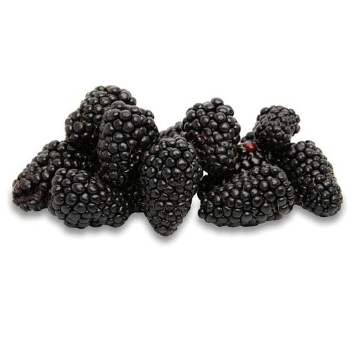 Image of  Blackberries (XL)