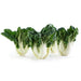 Image of  Choy Sum Vegetables