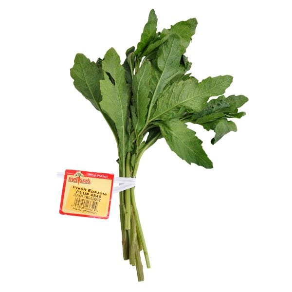 https://www.melissas.com/cdn/shop/files/image-of-epazote-fresh-other-1125636918_600x600.jpg?v=1738783187
