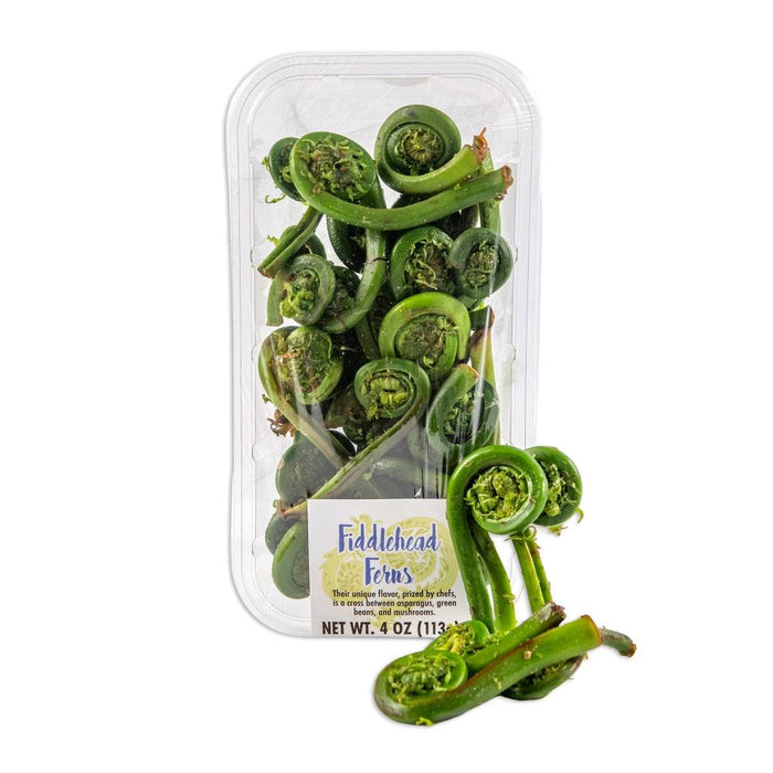 Image of  Fiddlehead Fern Vegetables