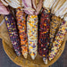 Image of  Indian Corn (aka Ornamental Corn) Vegetables