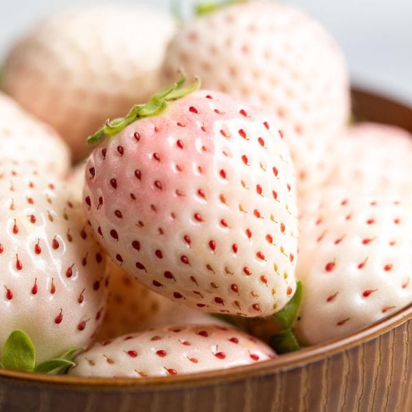 japanese strawberry seeds Japanese Jewelbox® Strawberries — Melissas Produce