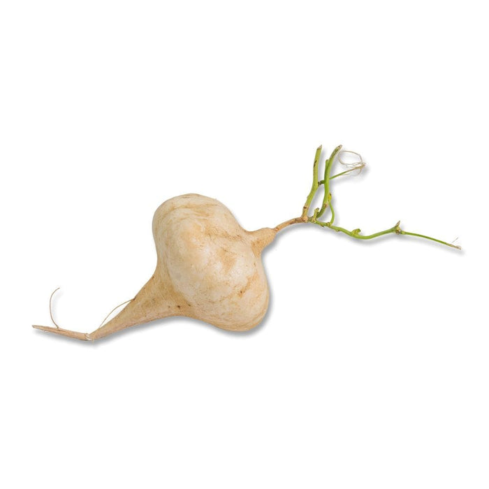 Image of  Jicama with Roots Vegetables