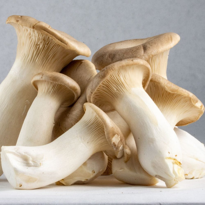 Image of  King Oyster Mushrooms Vegetables