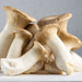 Image of  King Oyster Mushrooms Vegetables