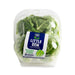Little Gem Lettuce on a white surface.