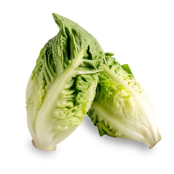Little Gem Lettuce on a white surface.
