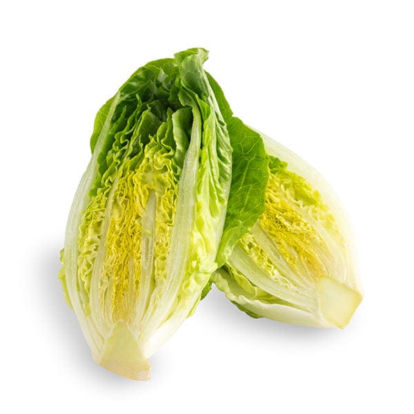 Little Gem Lettuce cut in half lengthwise on a white surface.