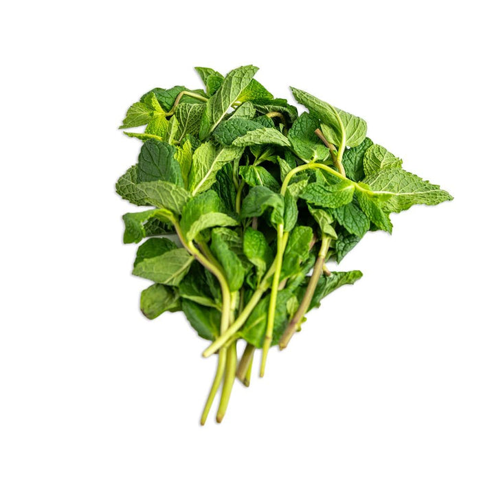 Image of  Mint Other