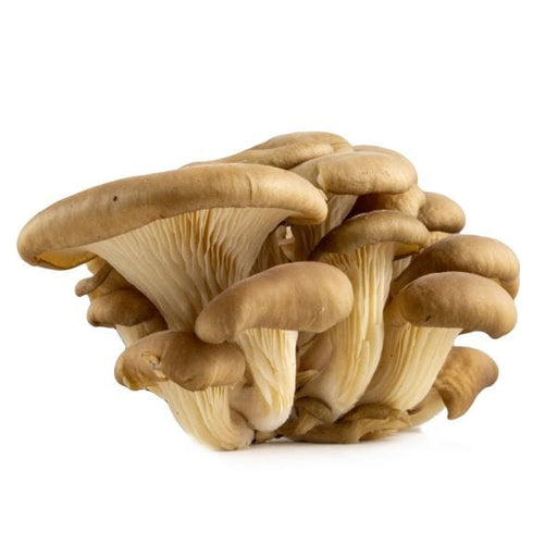 Image of  Oyster Mushrooms Vegetables
