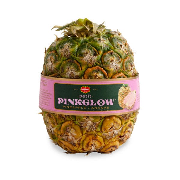 small pink pineapple plant Petit Pinkglow Pineapple