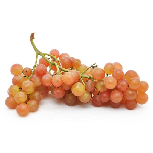 Grapes — Melissas Produce