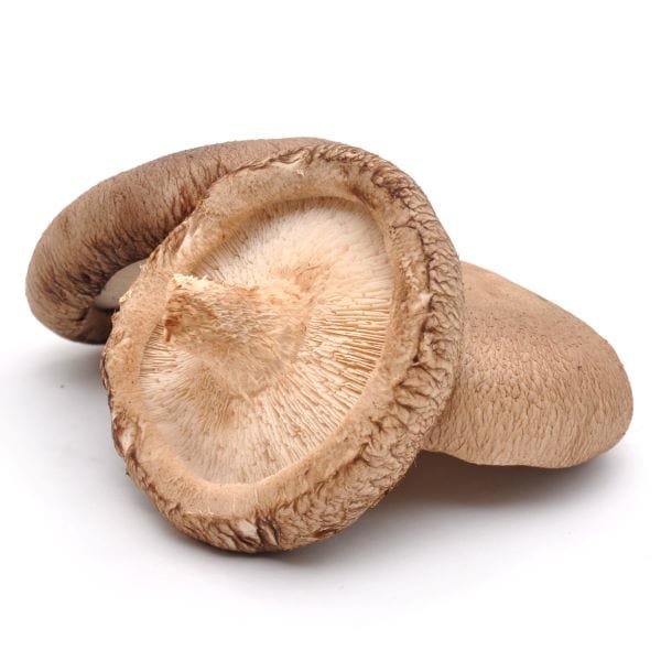 Image of  Portobello Mushrooms Vegetables