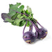 Image of  Purple Kohlrabi Vegetables
