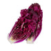 Image of  Purple Napa Cabbage Vegetables