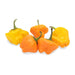 Image of  Scotch Bonnet Peppers Vegetables