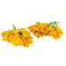 Image of  Squash Blossoms Vegetables