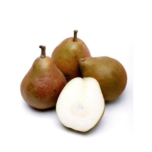 Image of  Taylors Gold Pears Fruit