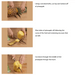 how to cut a pineapple tips