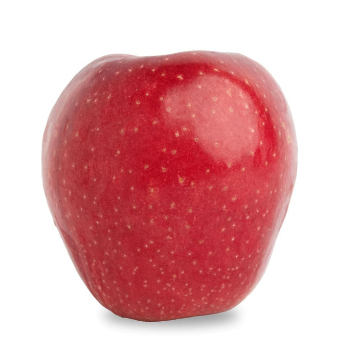 Image of  XL Apples Fruit