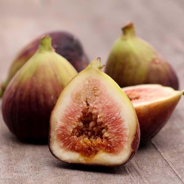 Image of  1 Pound Brown Turkey Figs Fruit