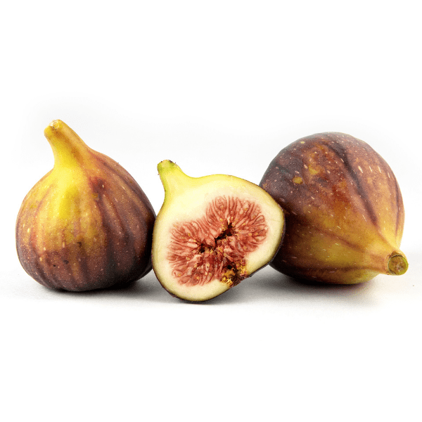 Brown Turkey Figs Not Ripening