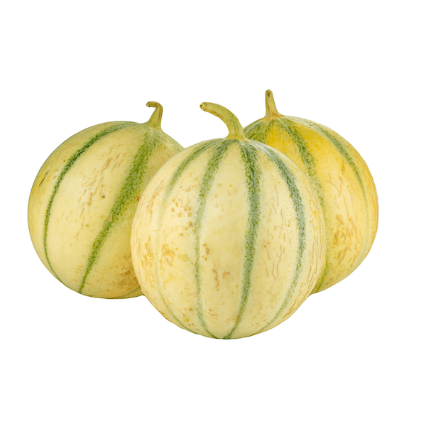 Image of  2 count Charentais Melons Fruit