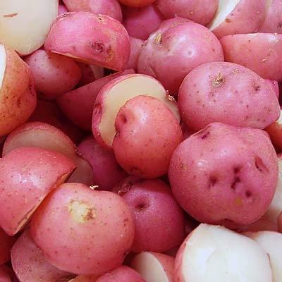 Image of  3 Pounds Baby Red Potatoes Vegetables