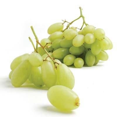 https://www.melissas.com/cdn/shop/products/4-pounds-image-of-green-muscatos-grapes-fruit-28657628217388_400x400.jpg?v=1703799411
