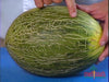 Melissa's Fresh Produce Tips - Melons